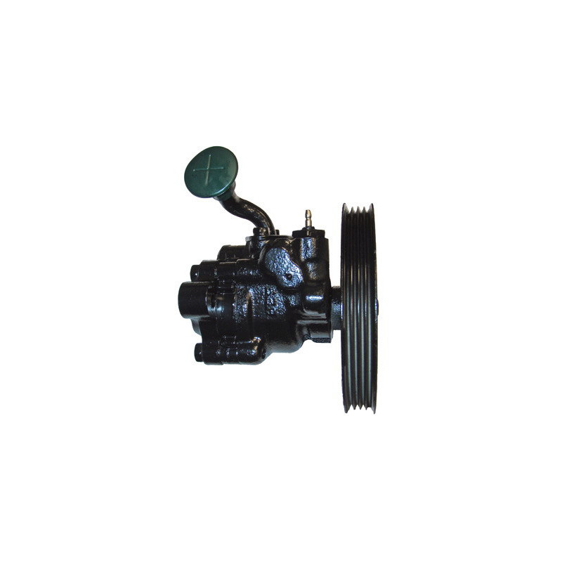 Pompe hydraulique (direction) LIZARTE