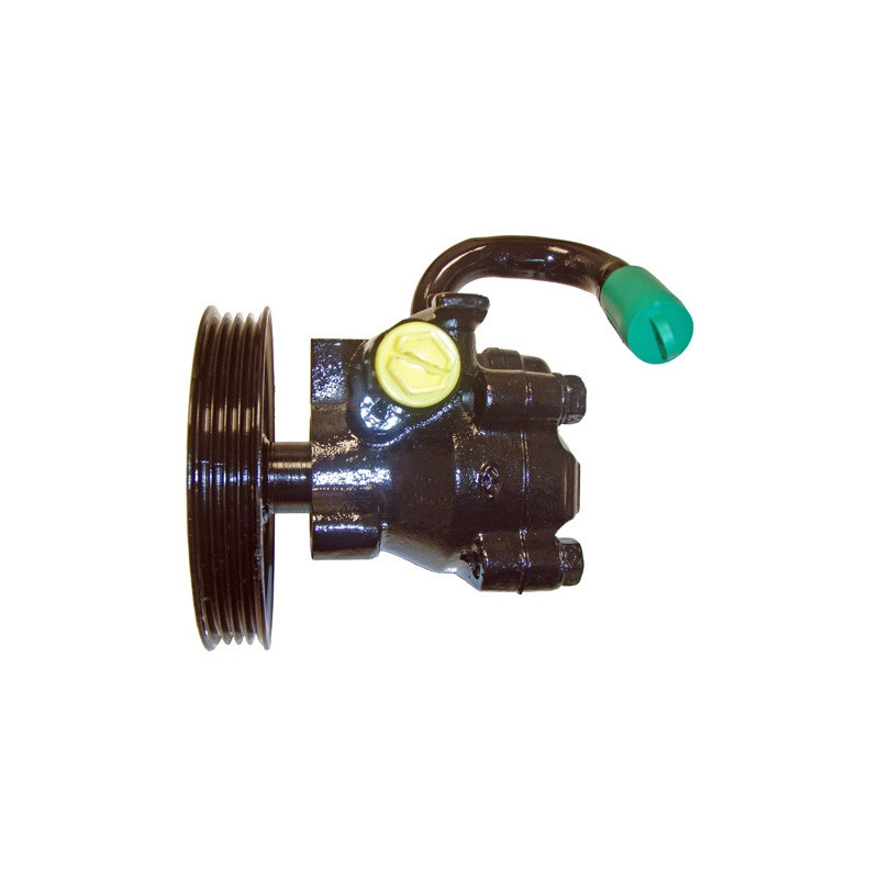 Pompe hydraulique (direction) LIZARTE