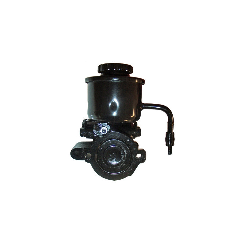 Pompe hydraulique (direction) LIZARTE