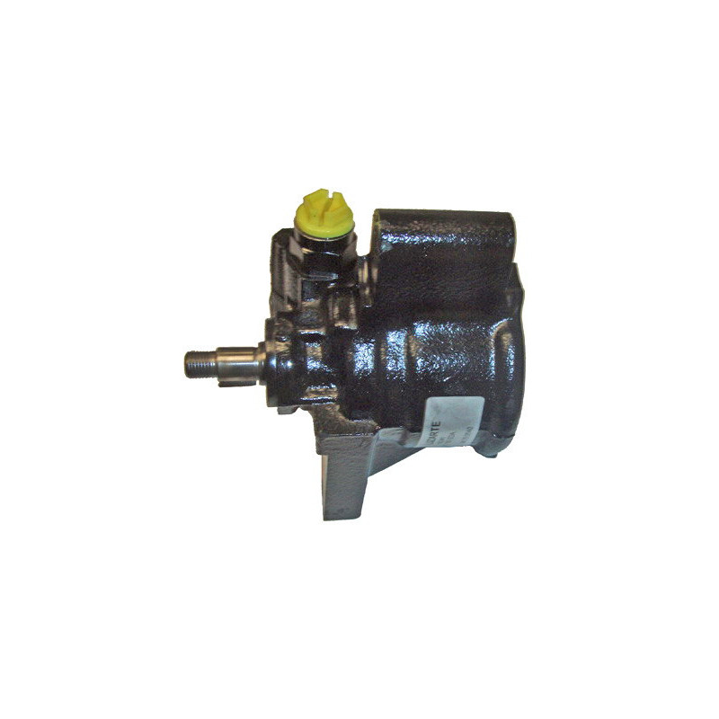 Pompe hydraulique (direction) LIZARTE