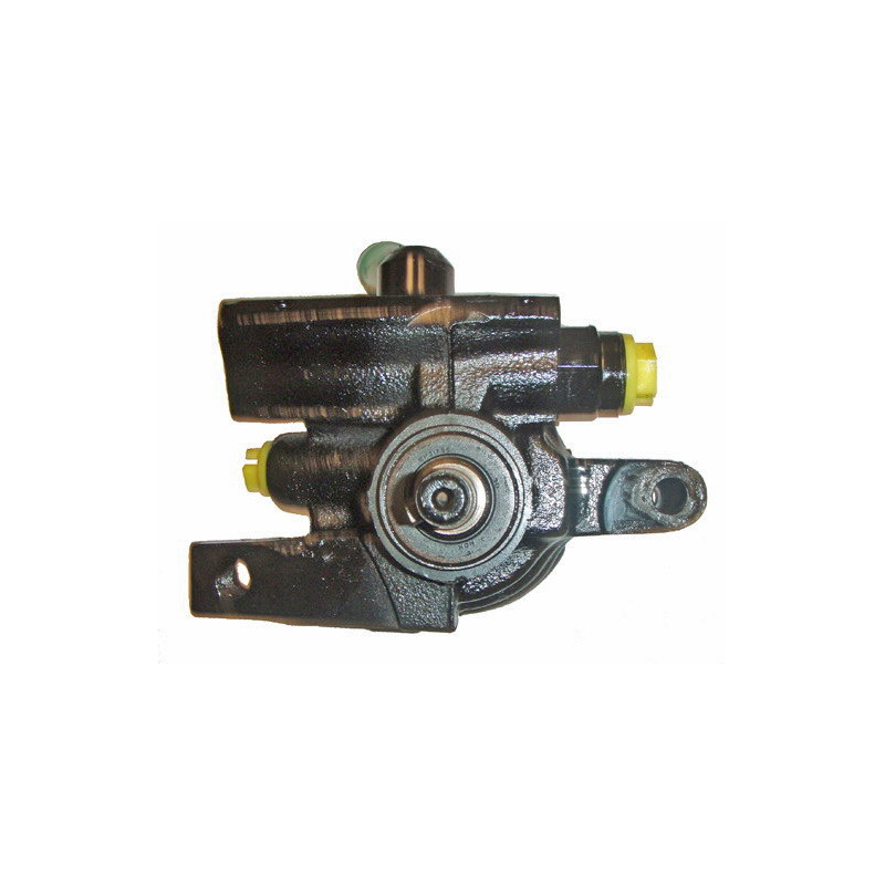 Pompe hydraulique (direction) LIZARTE