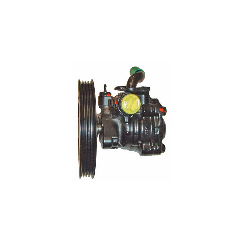 Pompe hydraulique (direction) LIZARTE