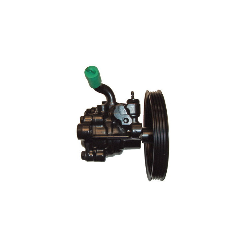 Pompe hydraulique (direction) LIZARTE