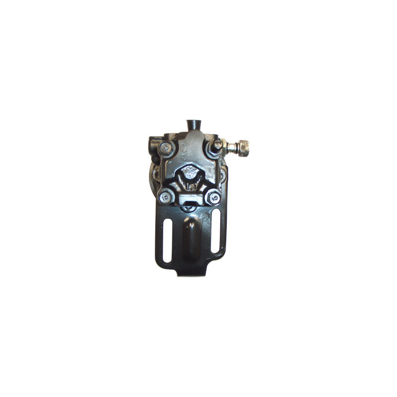 Pompe hydraulique (direction) LIZARTE
