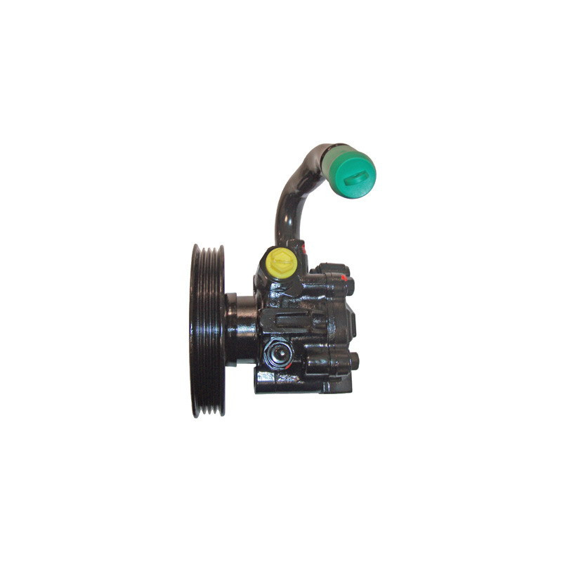 Pompe hydraulique (direction) LIZARTE