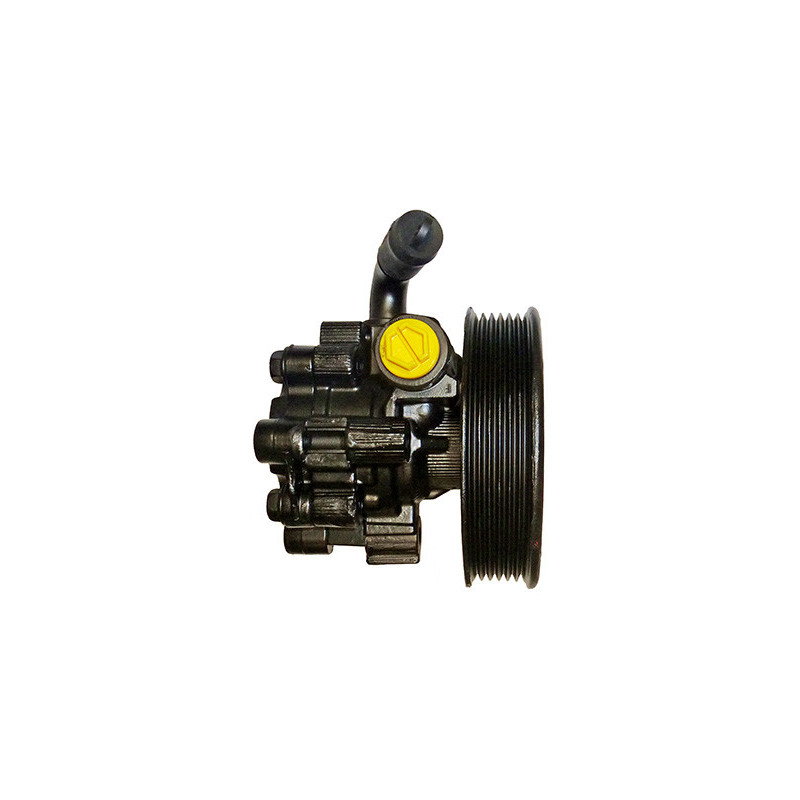 Pompe hydraulique (direction) LIZARTE