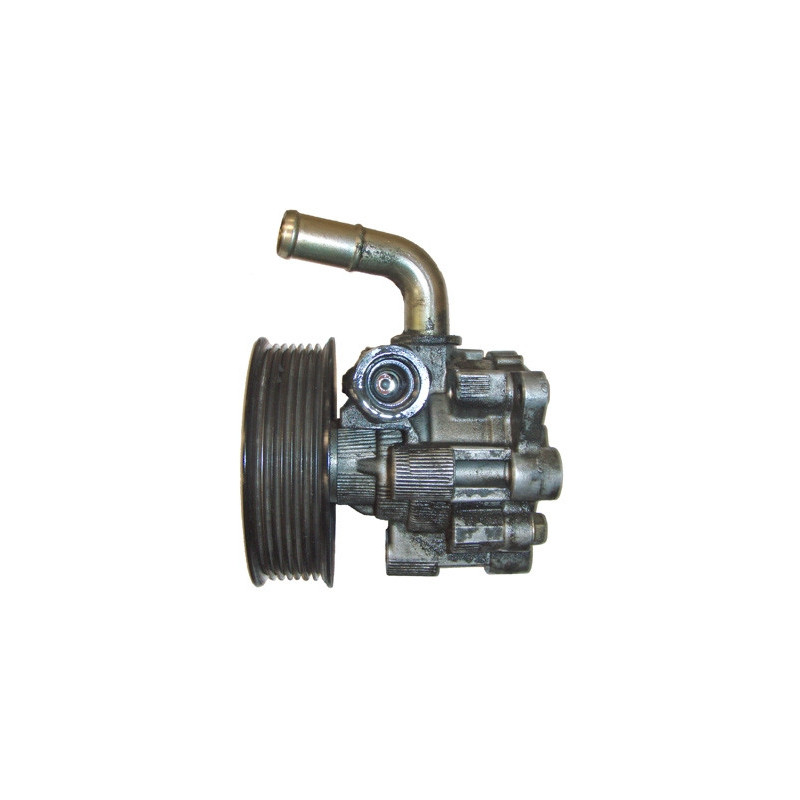 Pompe hydraulique (direction) LIZARTE