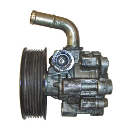 Pompe hydraulique (direction) LIZARTE