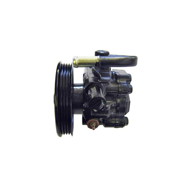 Pompe hydraulique (direction) LIZARTE