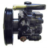 Pompe hydraulique (direction) LIZARTE