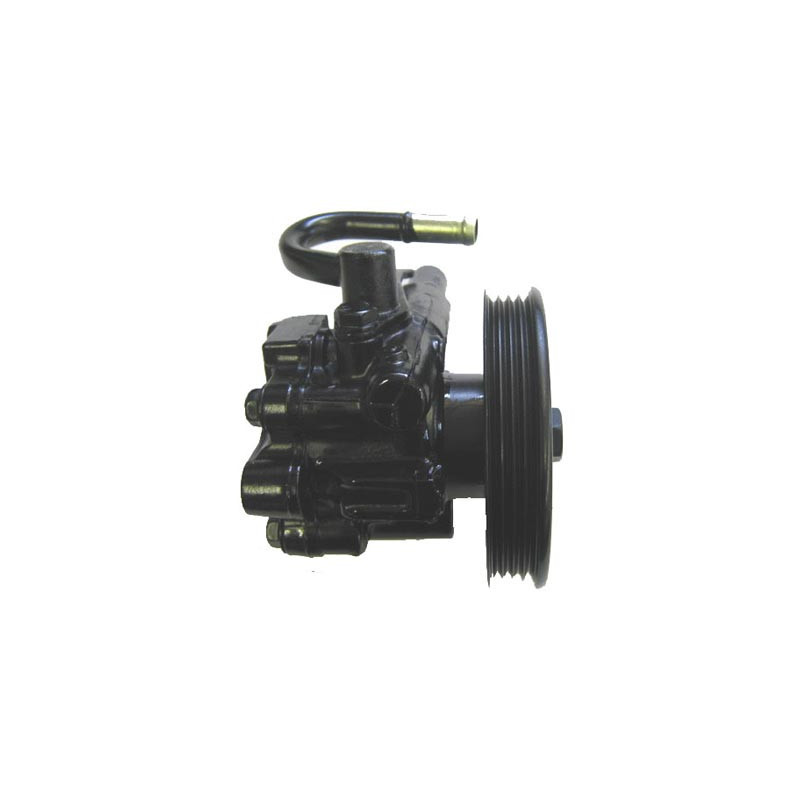 Pompe hydraulique (direction) LIZARTE
