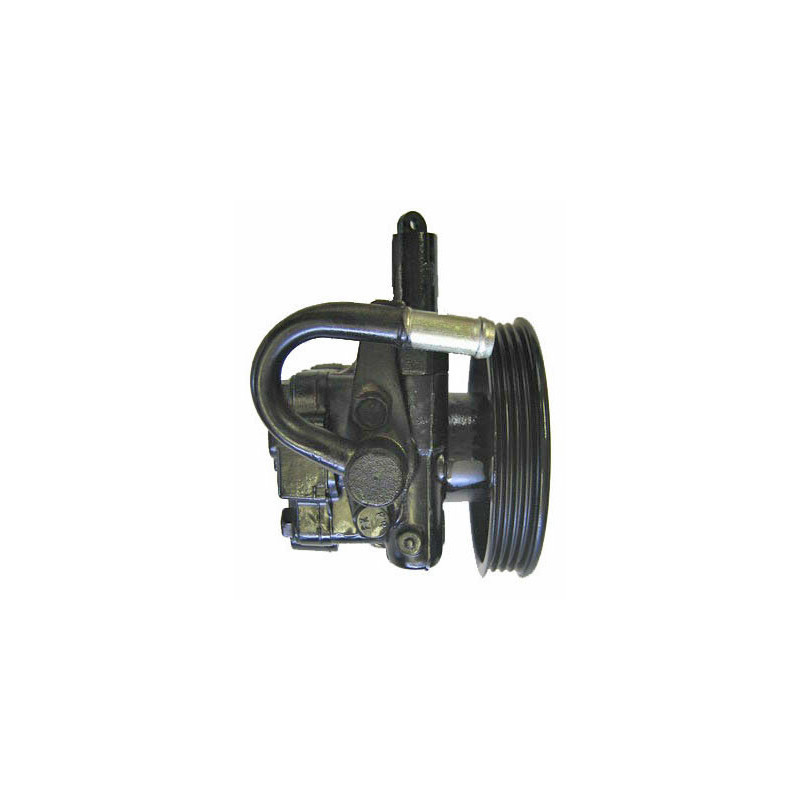 Pompe hydraulique (direction) LIZARTE