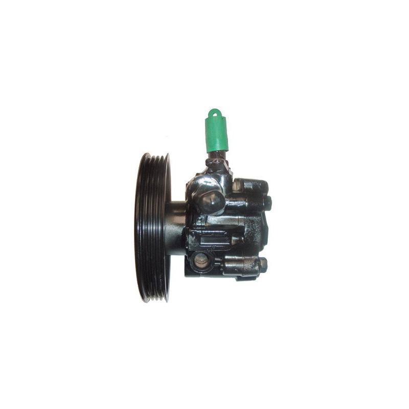 Pompe hydraulique (direction) LIZARTE