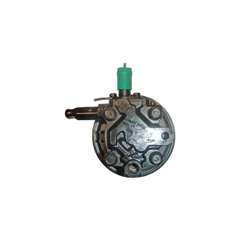 Pompe hydraulique (direction) LIZARTE