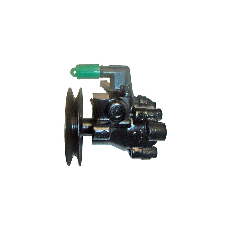 Pompe hydraulique (direction) LIZARTE