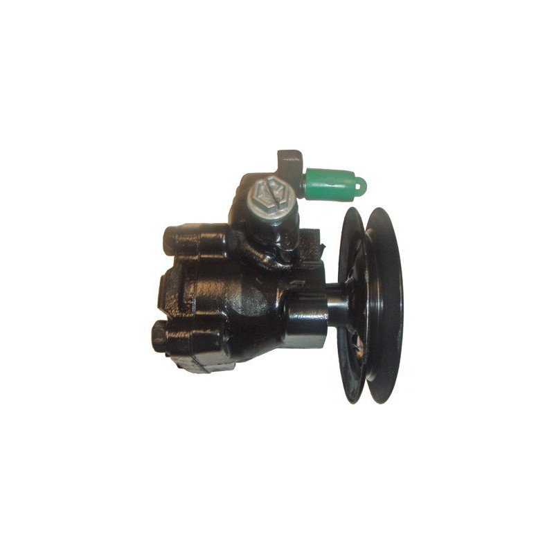 Pompe hydraulique (direction) LIZARTE