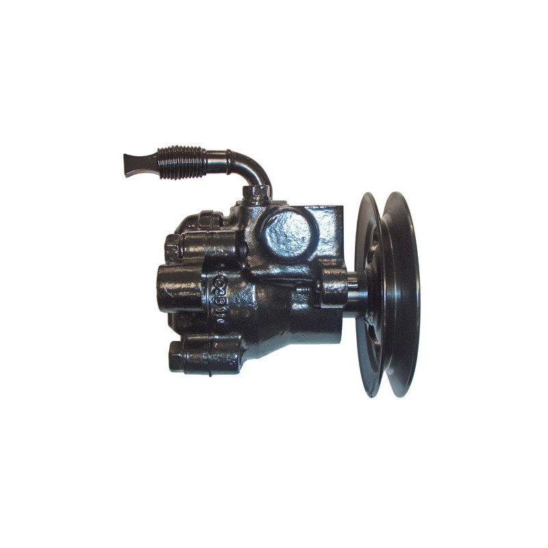 Pompe hydraulique (direction) LIZARTE