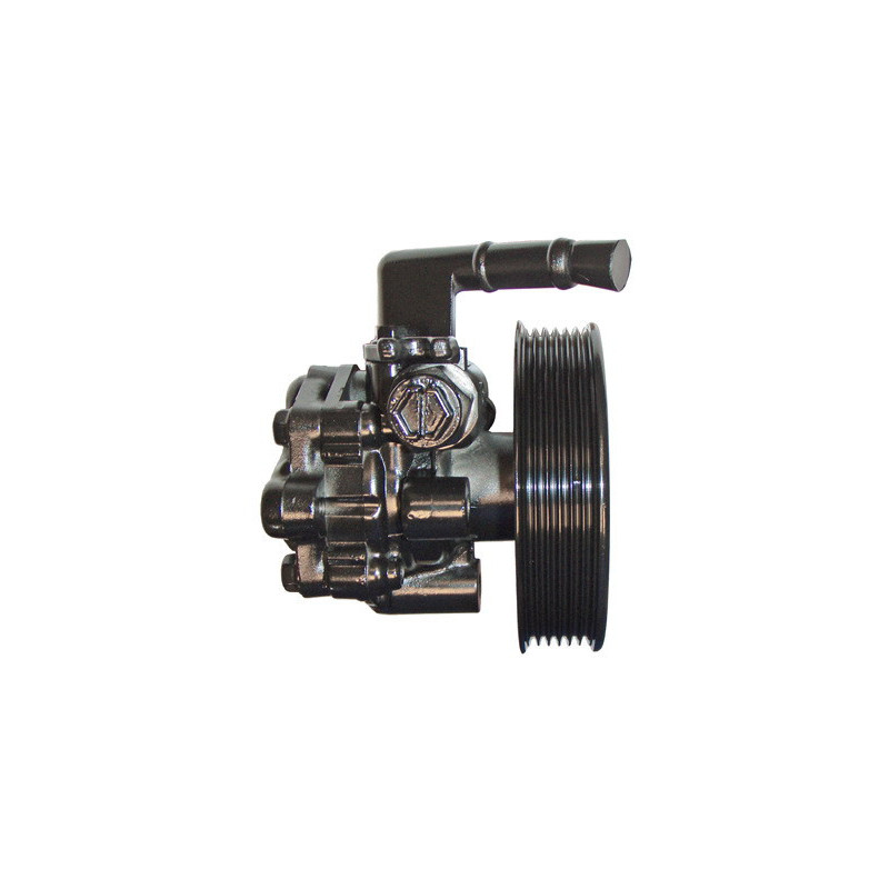 Pompe hydraulique (direction) LIZARTE