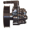 Pompe hydraulique (direction) LIZARTE