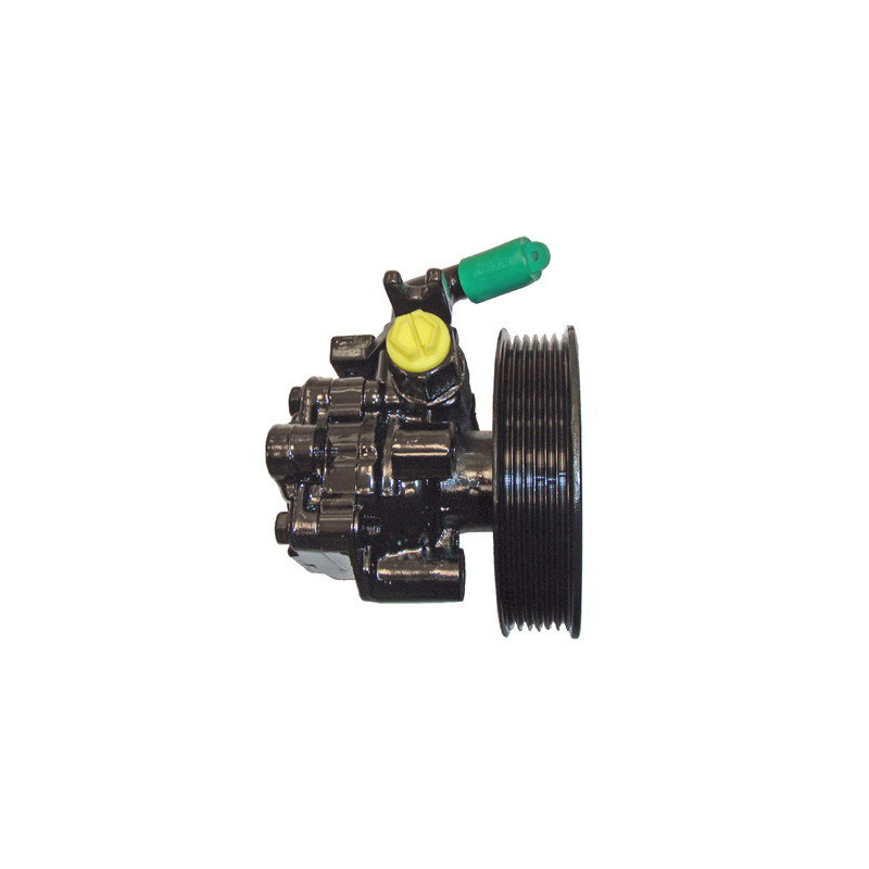 Pompe hydraulique (direction) LIZARTE