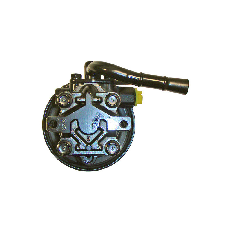 Pompe hydraulique (direction) LIZARTE