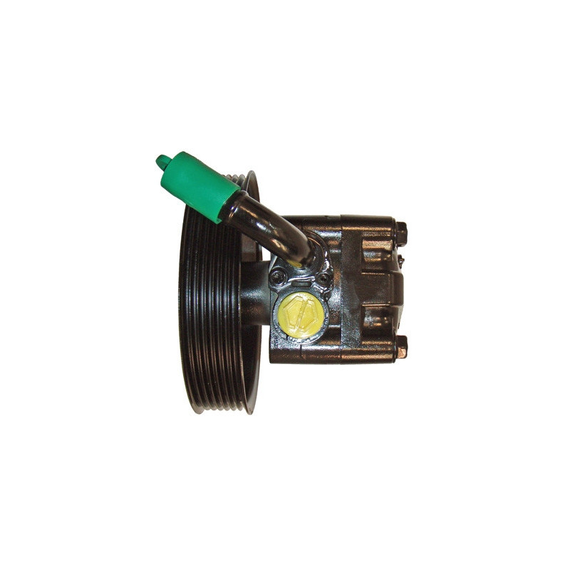 Pompe hydraulique (direction) LIZARTE