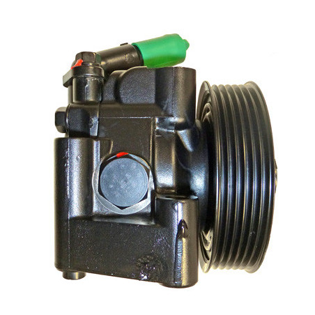 Pompe hydraulique (direction) LIZARTE