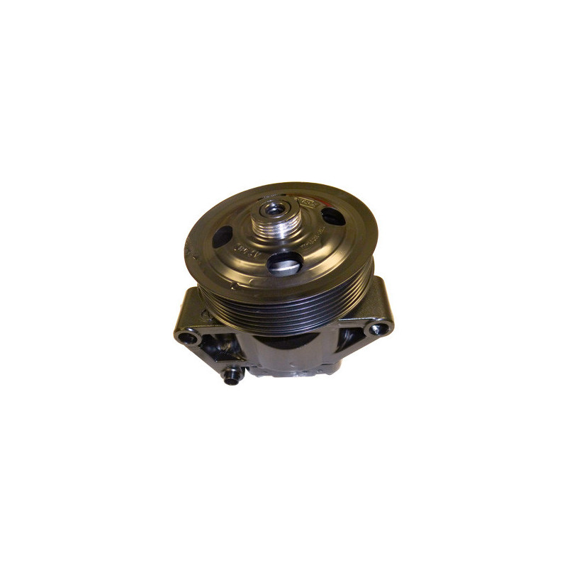 Pompe hydraulique (direction) LIZARTE