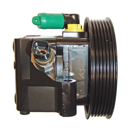 Pompe hydraulique (direction) LIZARTE