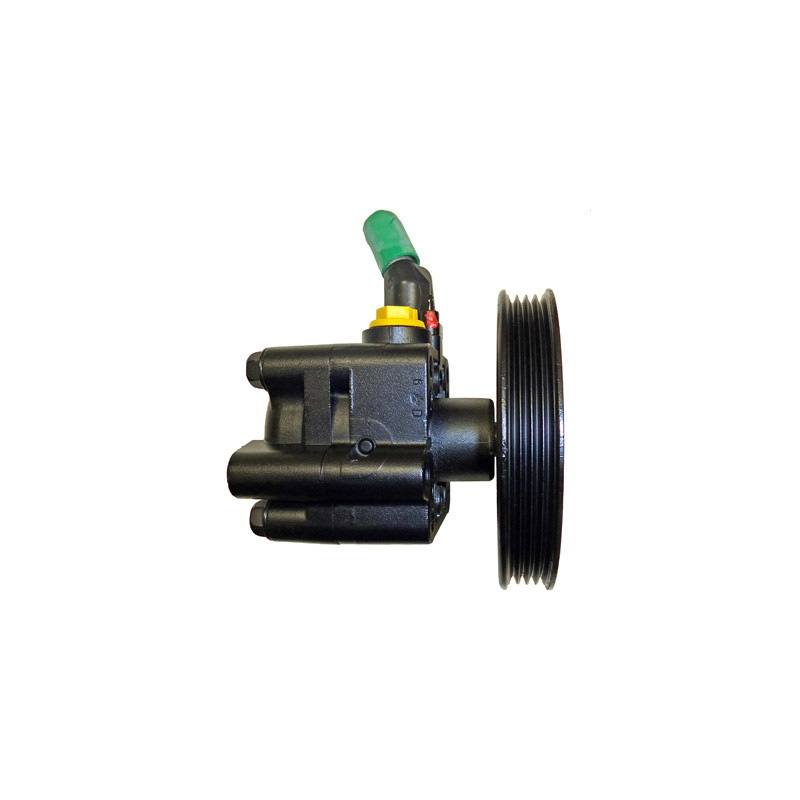 Pompe hydraulique (direction) LIZARTE