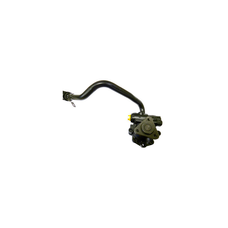 Pompe hydraulique (direction) LIZARTE