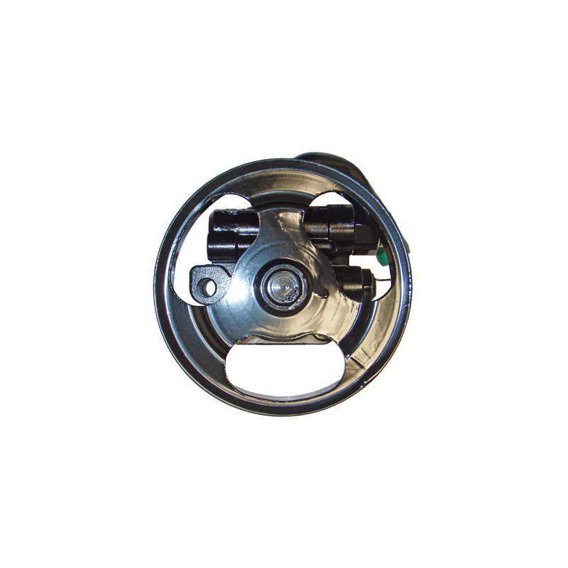 Pompe hydraulique (direction) LIZARTE