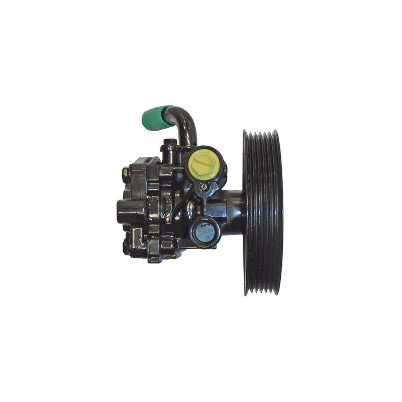 Pompe hydraulique (direction) LIZARTE