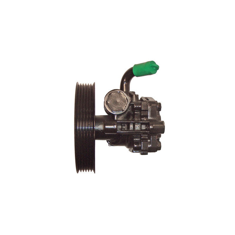 Pompe hydraulique (direction) LIZARTE