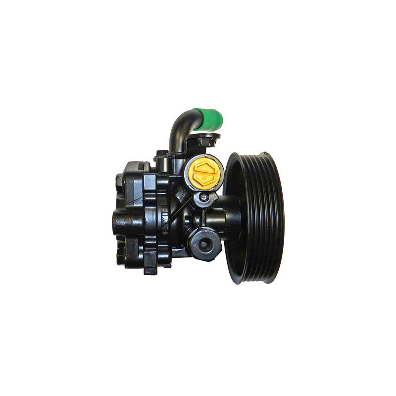 Pompe hydraulique (direction) LIZARTE