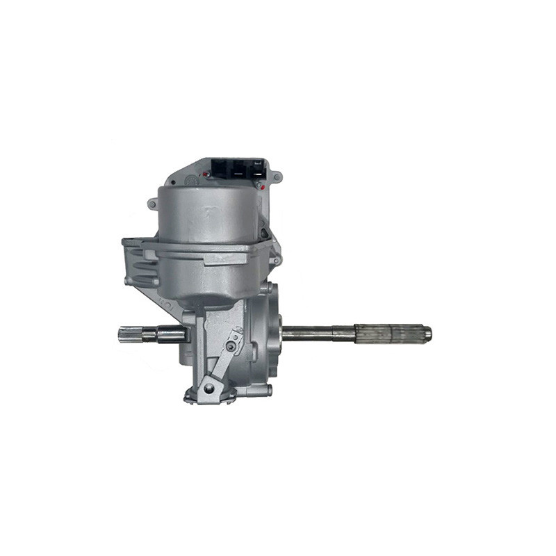 Colonne de direction LIZARTE