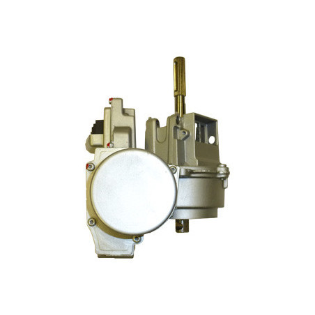 Colonne de direction LIZARTE