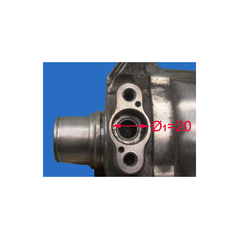 Compresseur de climatisation LIZARTE