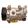 Compresseur de climatisation LIZARTE