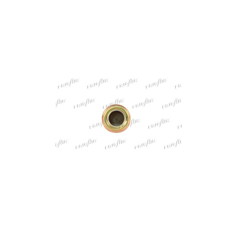 Filtre à carburant FRIGAIR