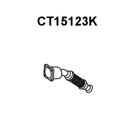 Catalyseur VENEPORTE