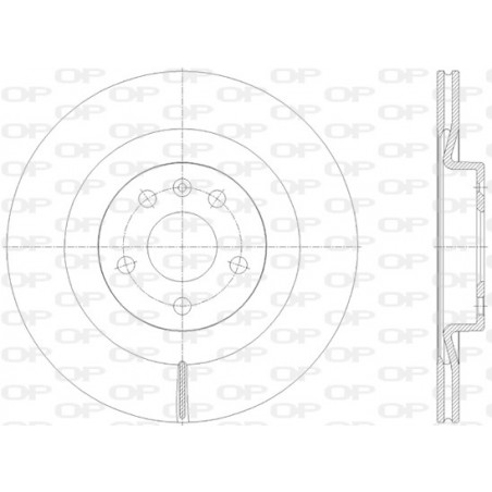 Jeu de 2 disques de frein OPEN PARTS