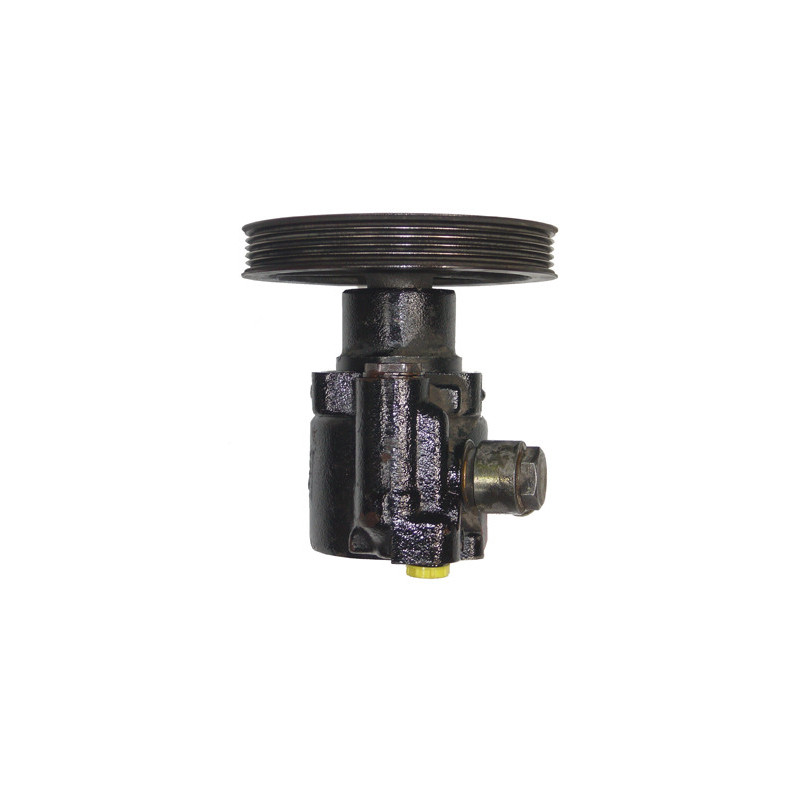 Pompe hydraulique (direction) WAT