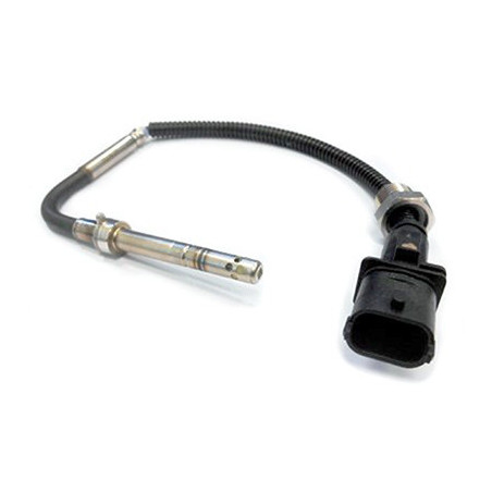 Palpeur (température des...