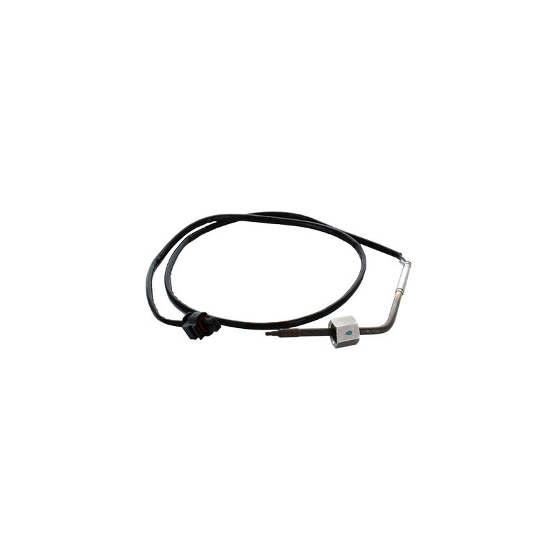 Palpeur (température des gaz) FISPA