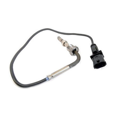 Palpeur (température des...