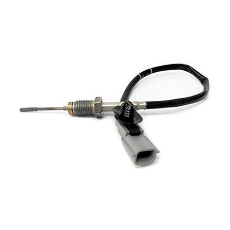 Palpeur (température des...