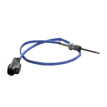 Palpeur (température des...