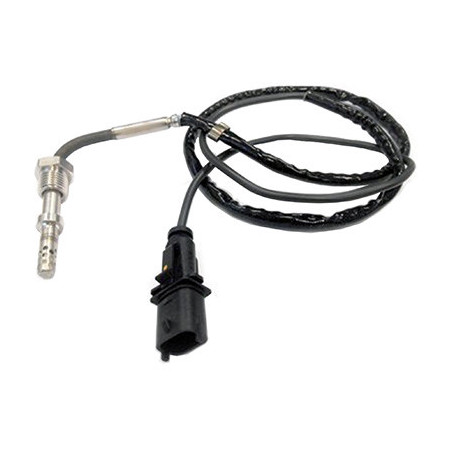 Palpeur (température des...