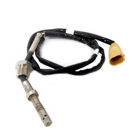 Palpeur (température des...